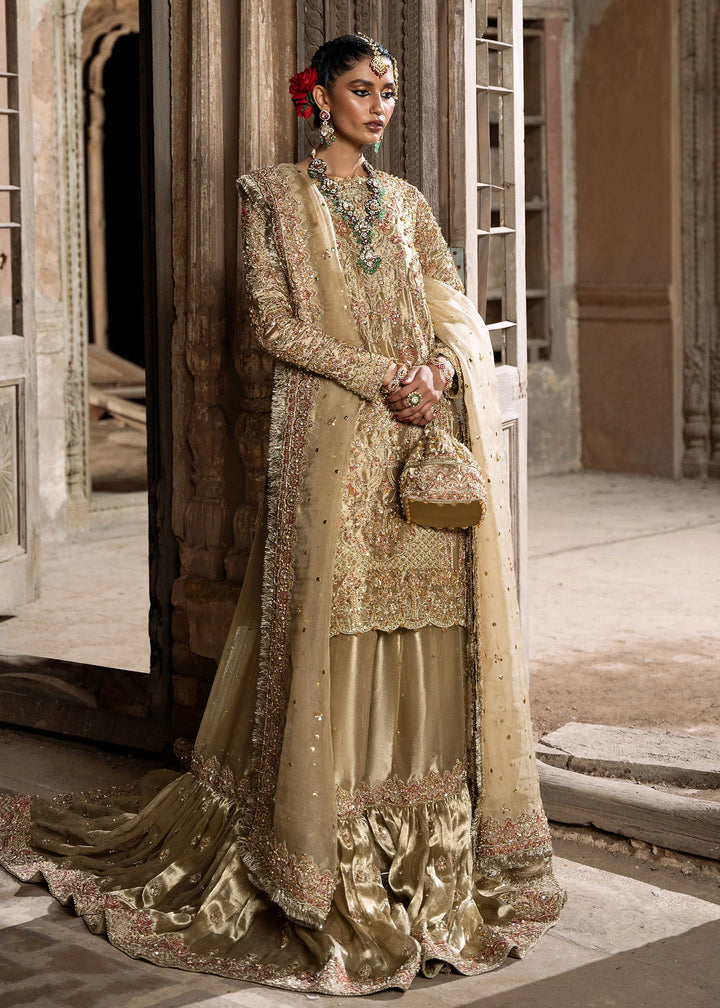 Shahnoor - Kanwal Malik - Pakistani Party Wear - Formal - raniazara