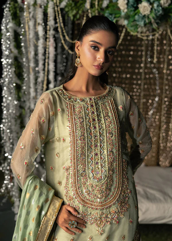 Sitara - Souchaj - Party Dress - raniazara