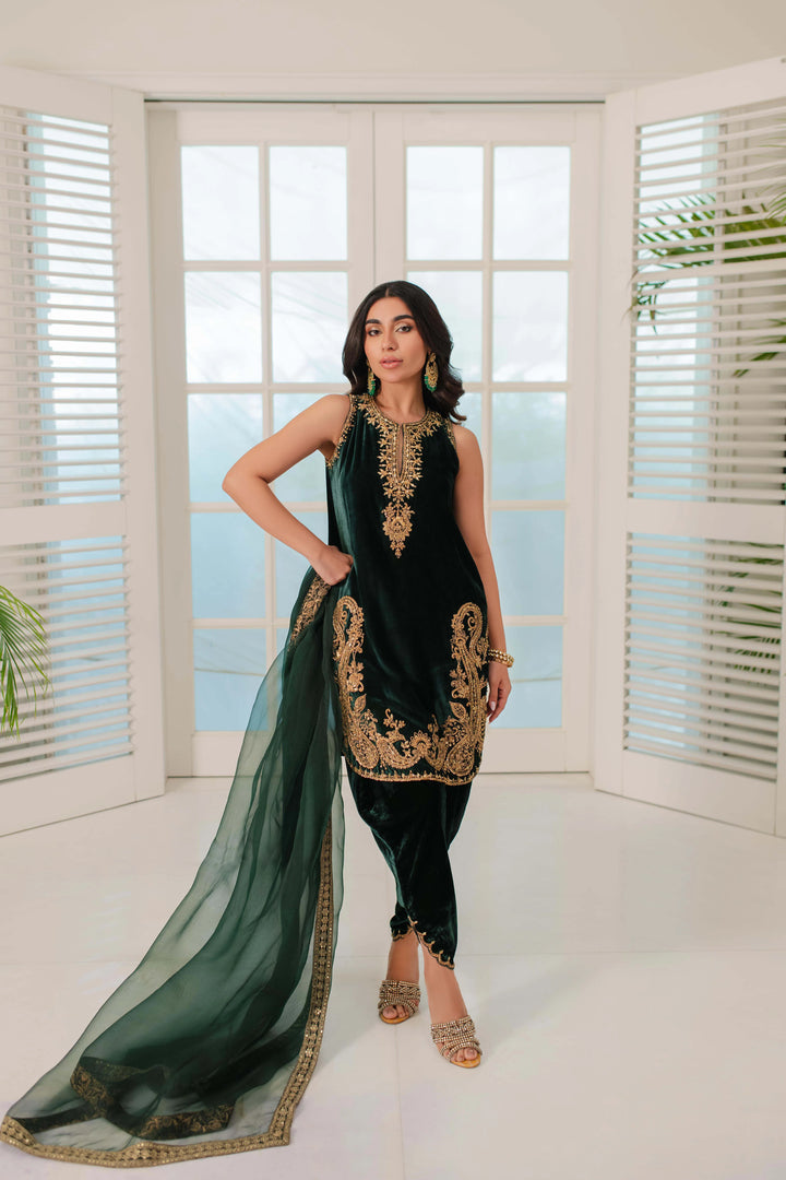 MHLP-1313 - Mina Hasan - Velvet Dress - raniazara