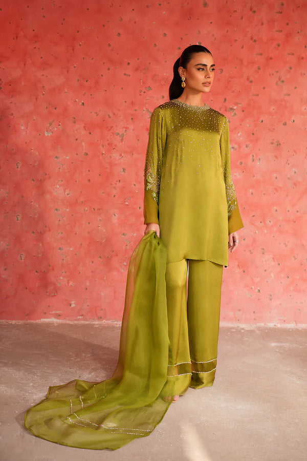 Leaf Green Embellished Sleeve Set - Lulusar