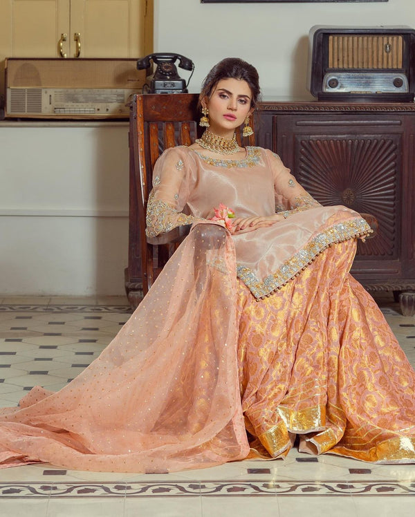 PEACH PINK FLAIRED LENGHA - Harish Shakeel - Formal - raniazara