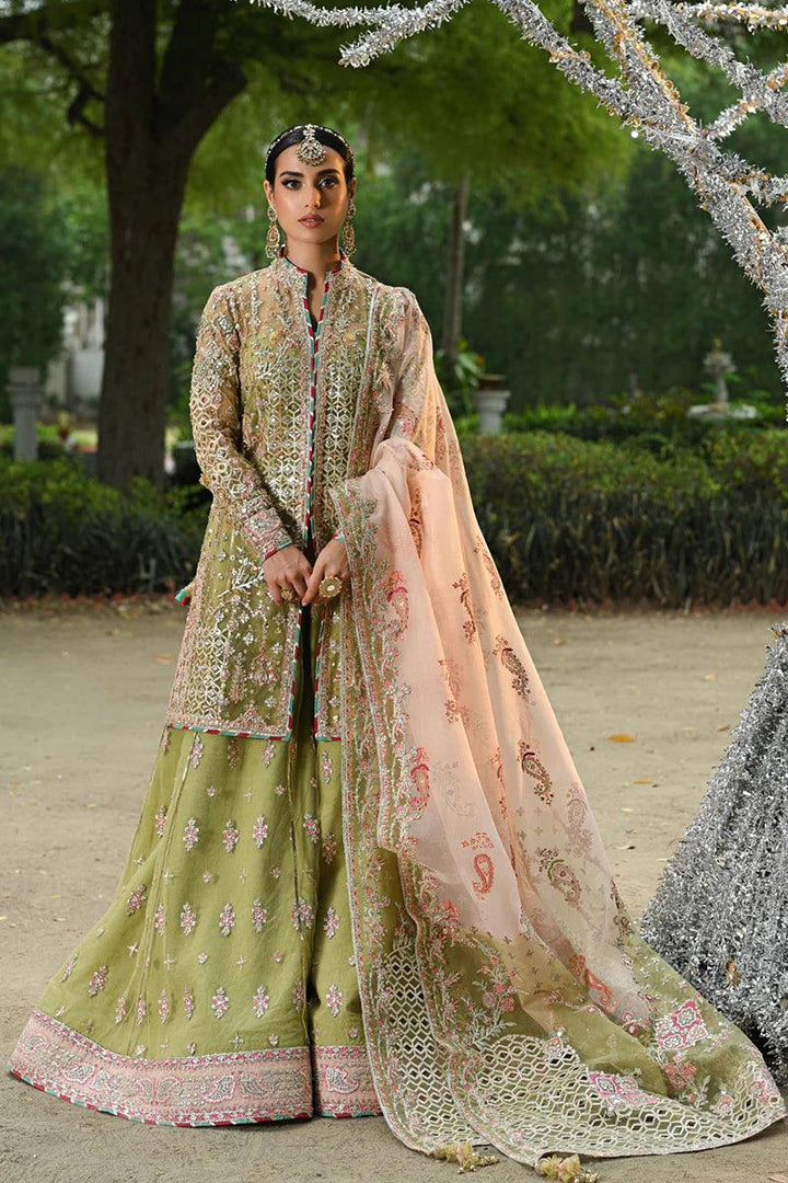 RF-07 HALENA - Qalamkar - Pakistani Clothes - Formal - raniazara