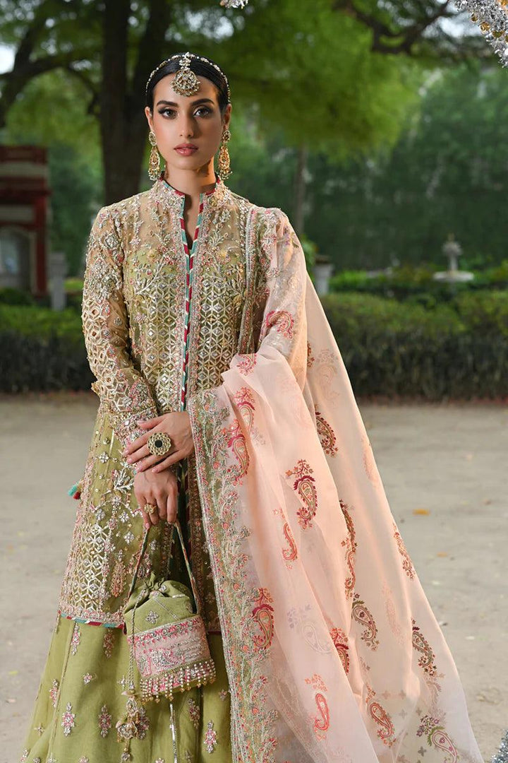 RF-07 HALENA - Qalamkar - Pakistani Clothes - Formal - raniazara