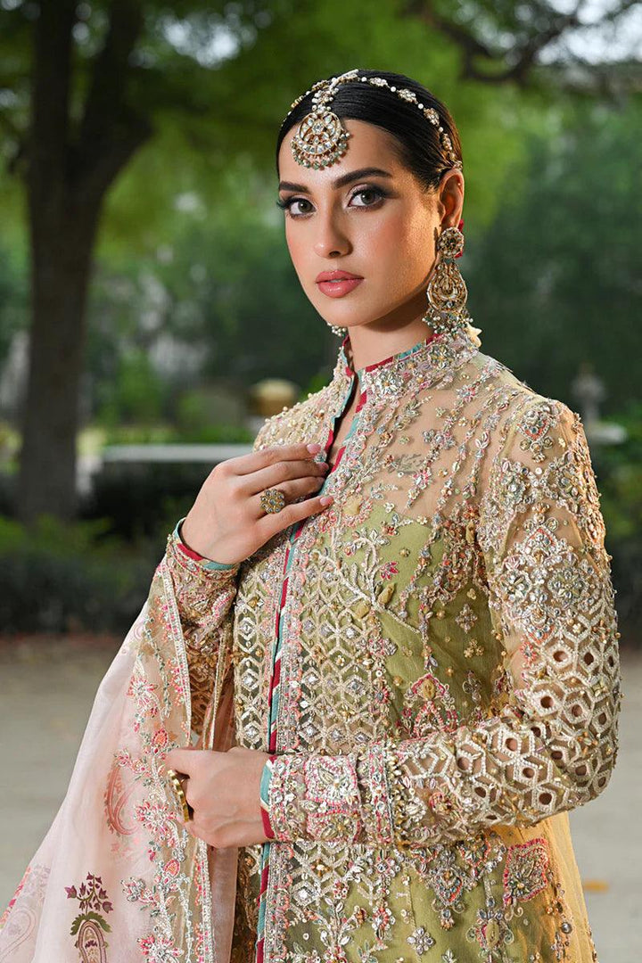 RF-07 HALENA - Qalamkar - Pakistani Clothes - Formal - raniazara