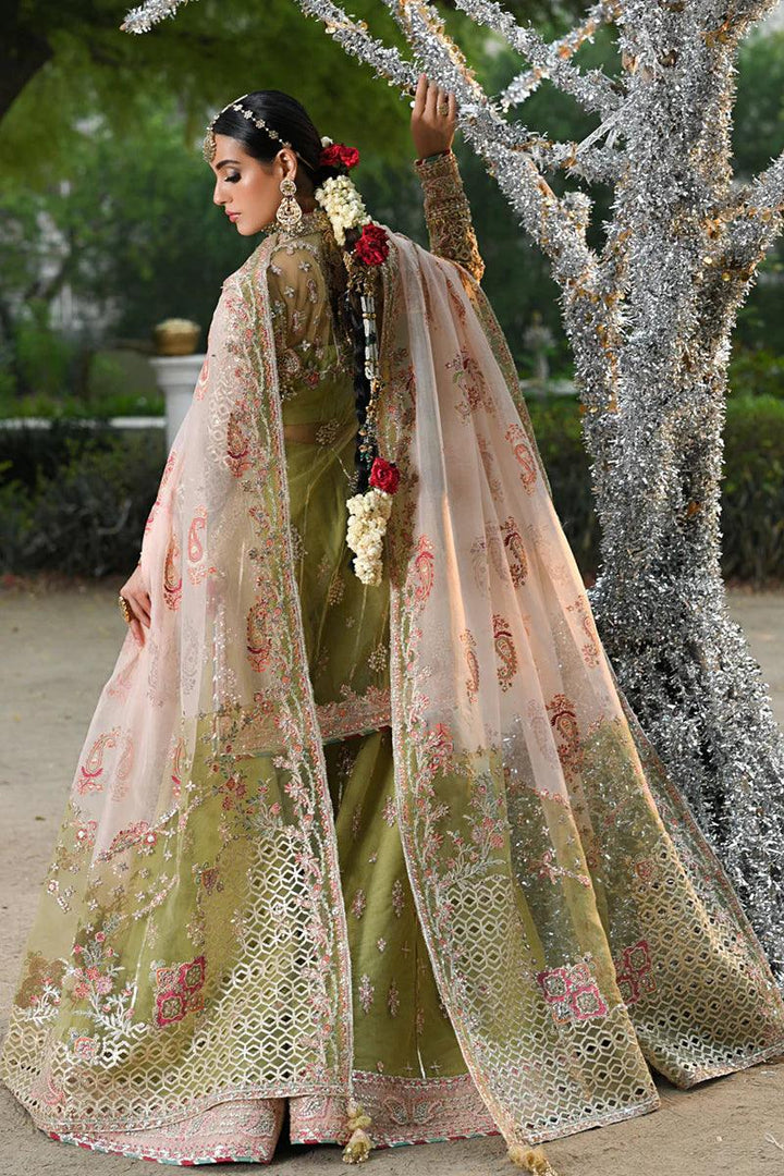 RF-07 HALENA - Qalamkar - Pakistani Clothes - Formal - raniazara