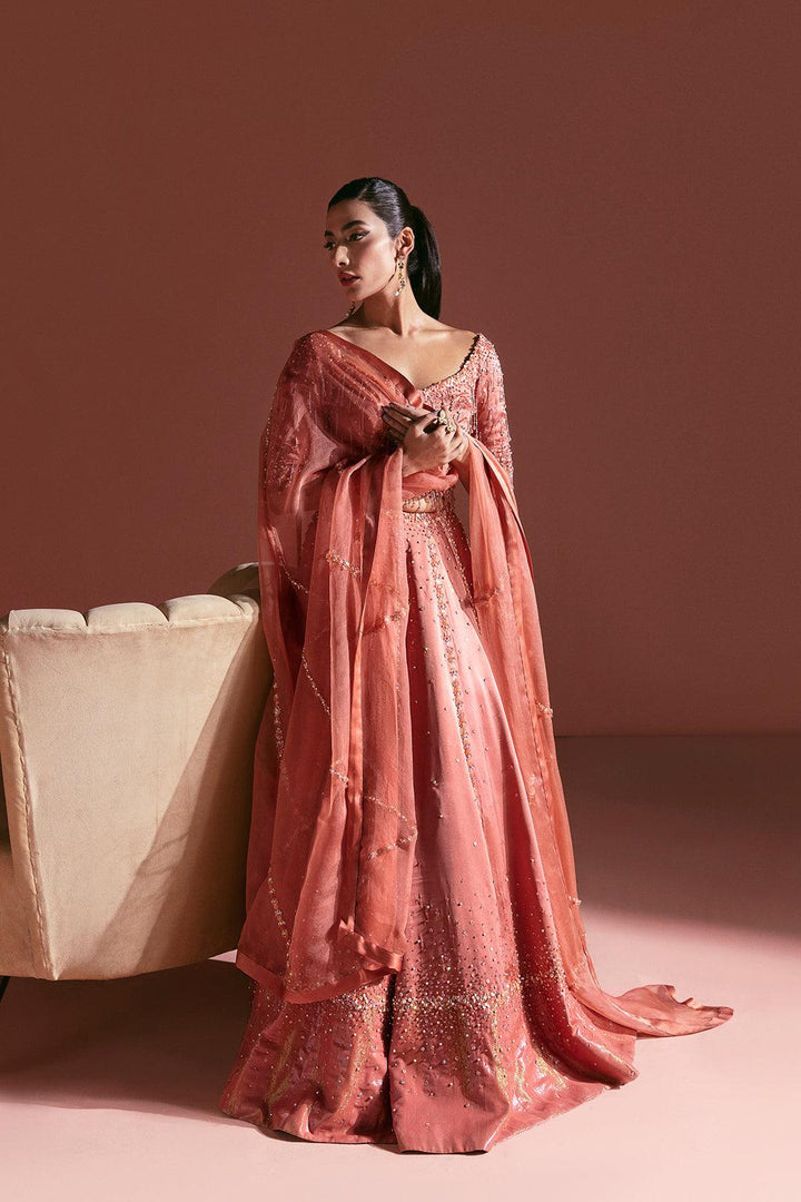 Terracotta Ombre Lehnga Set -Lulusar - Formal - raniazara