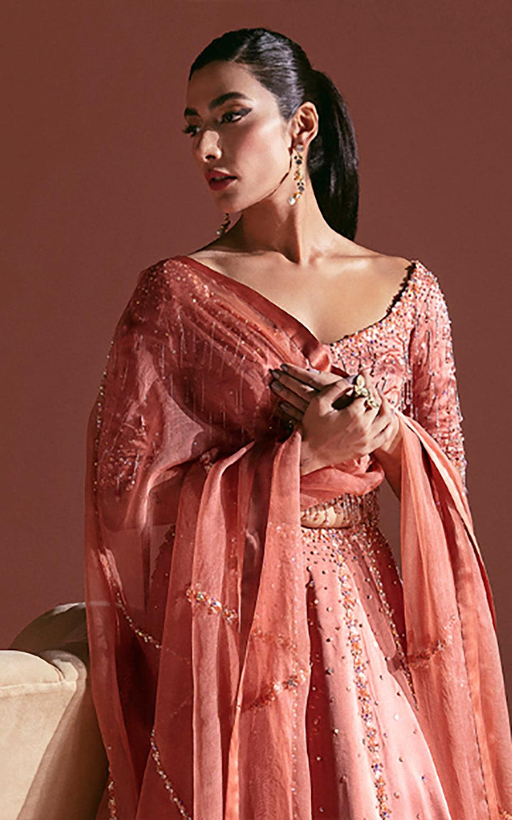 Terracotta Ombre Lehnga Set -Lulusar - Formal - raniazara