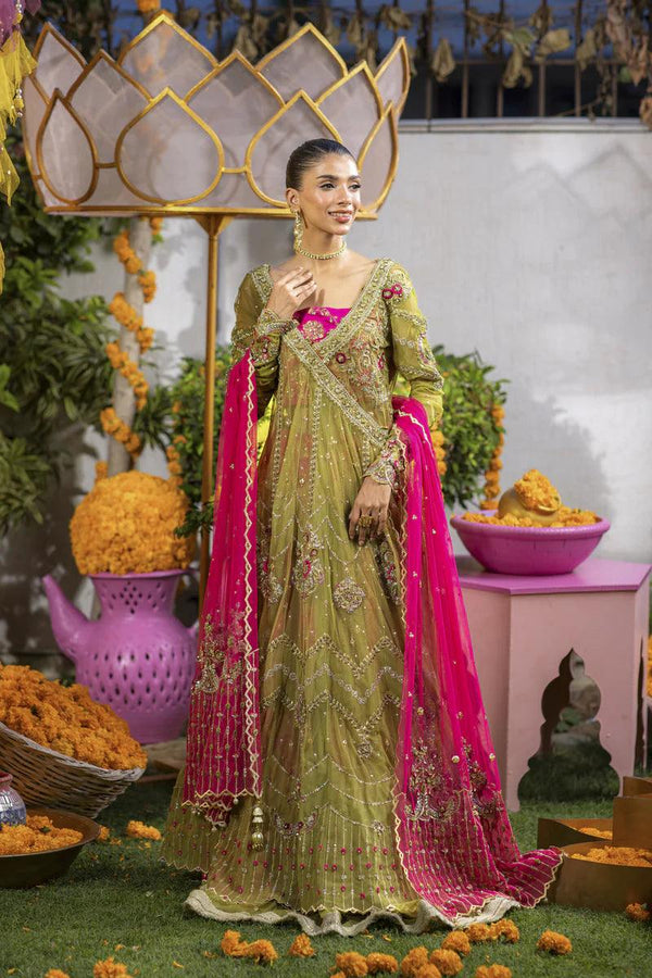 Rangoli - Shahnaz Anis - Formals - raniazara