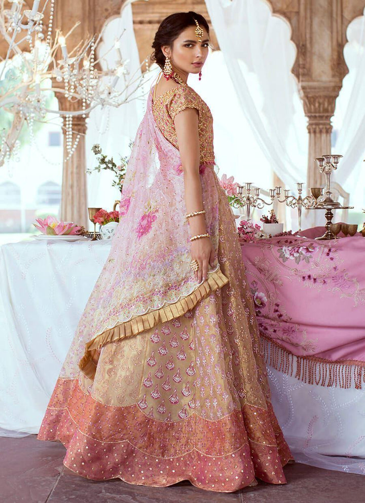 ROSE GOLD LEHNGA CHOLI raniazarastudio