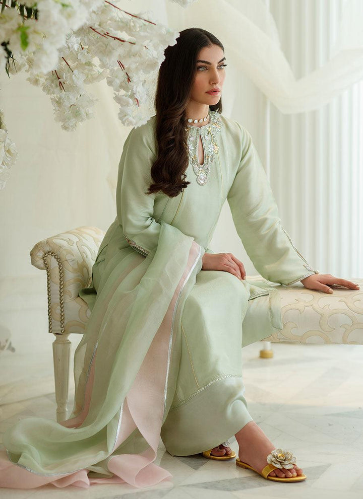 MINT FOIL SHIRT AND DUPATTA - raniazarastudio